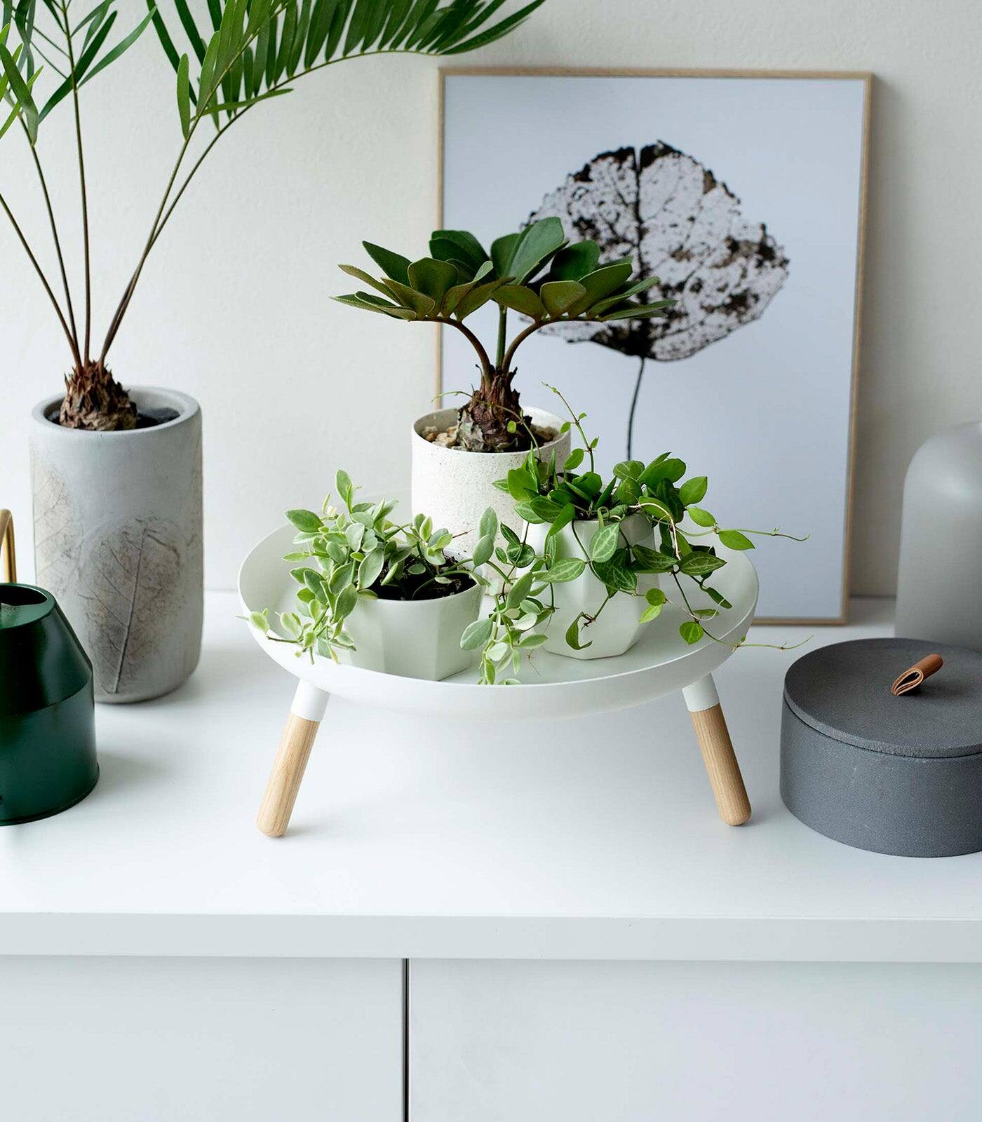 Alt View 5. Yamazaki Home - Countertop Pedestal Tray (5" H)  - Steel + Wood - White.