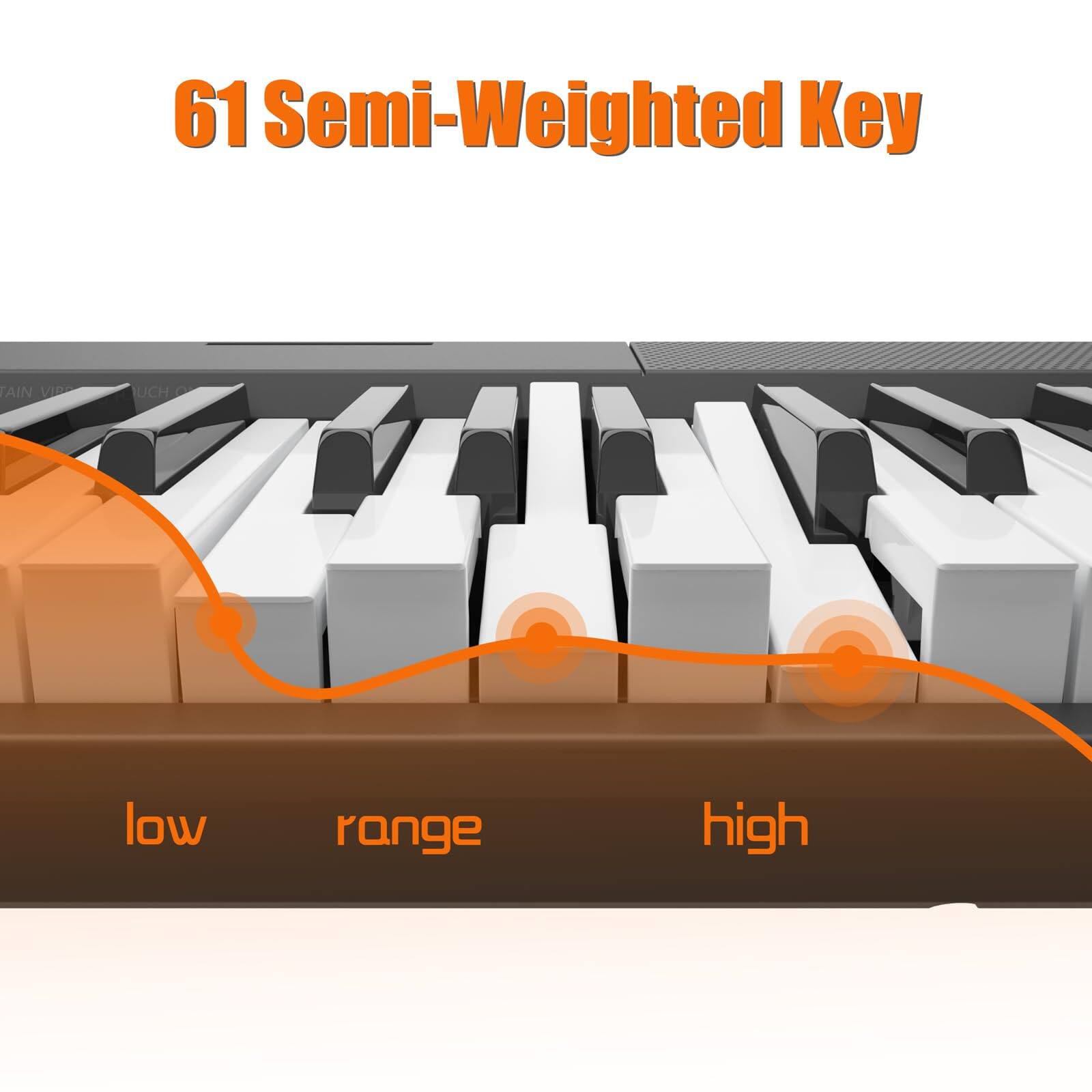 61 Semi-Weighted Key

low range high