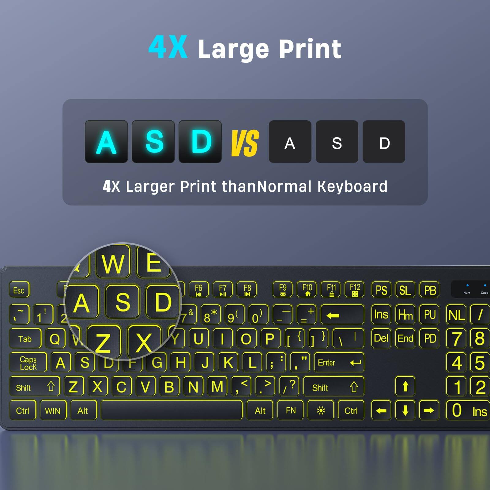 4X Large Print

A S D vs A S D

4X Larger Print than Normal Keyboard

W E

Esc 1 2 3 4 5 6 7 8 9 0 - = Tab Q W E R T Y U I O P [ { } | Z X C V B N M , . / Caps Lock A S D F G H J K L ; ' Enter Shift Z X C V B N M , . / Shift 1 2 3 4 5 6 7 8 9 0 - = Ctrl WIN Alt Alt FN Ctrl PS Ins Del SL Hm End PB PU PD Num 7 8 4 5 1 2 0 Ins
