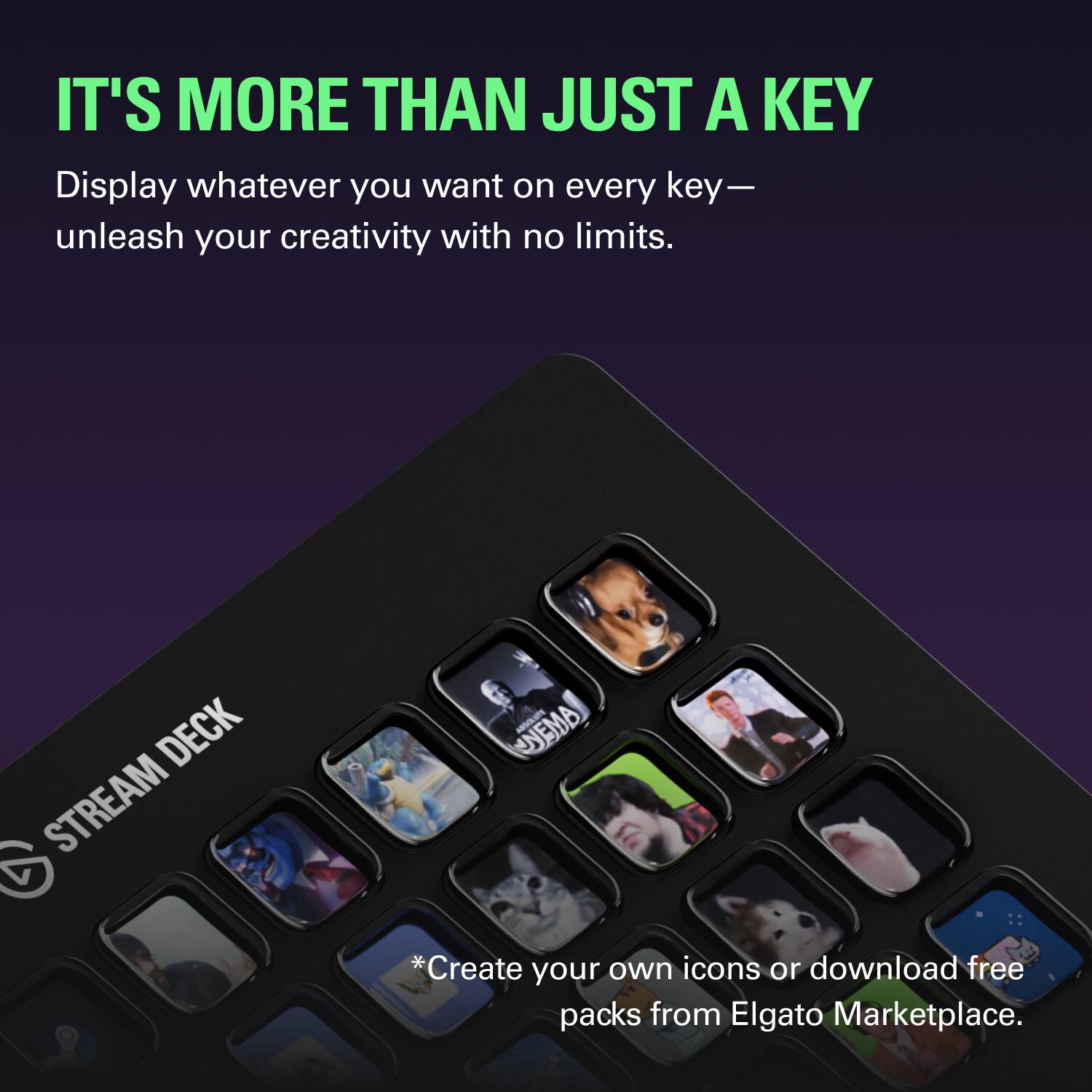 IT'S MORE THAN JUST A KEY

Display whatever you want on every key—unleash your creativity with no limits.

DECK STREAM UNEMA

*Create your own icons or download free packs from Elgato Marketplace.