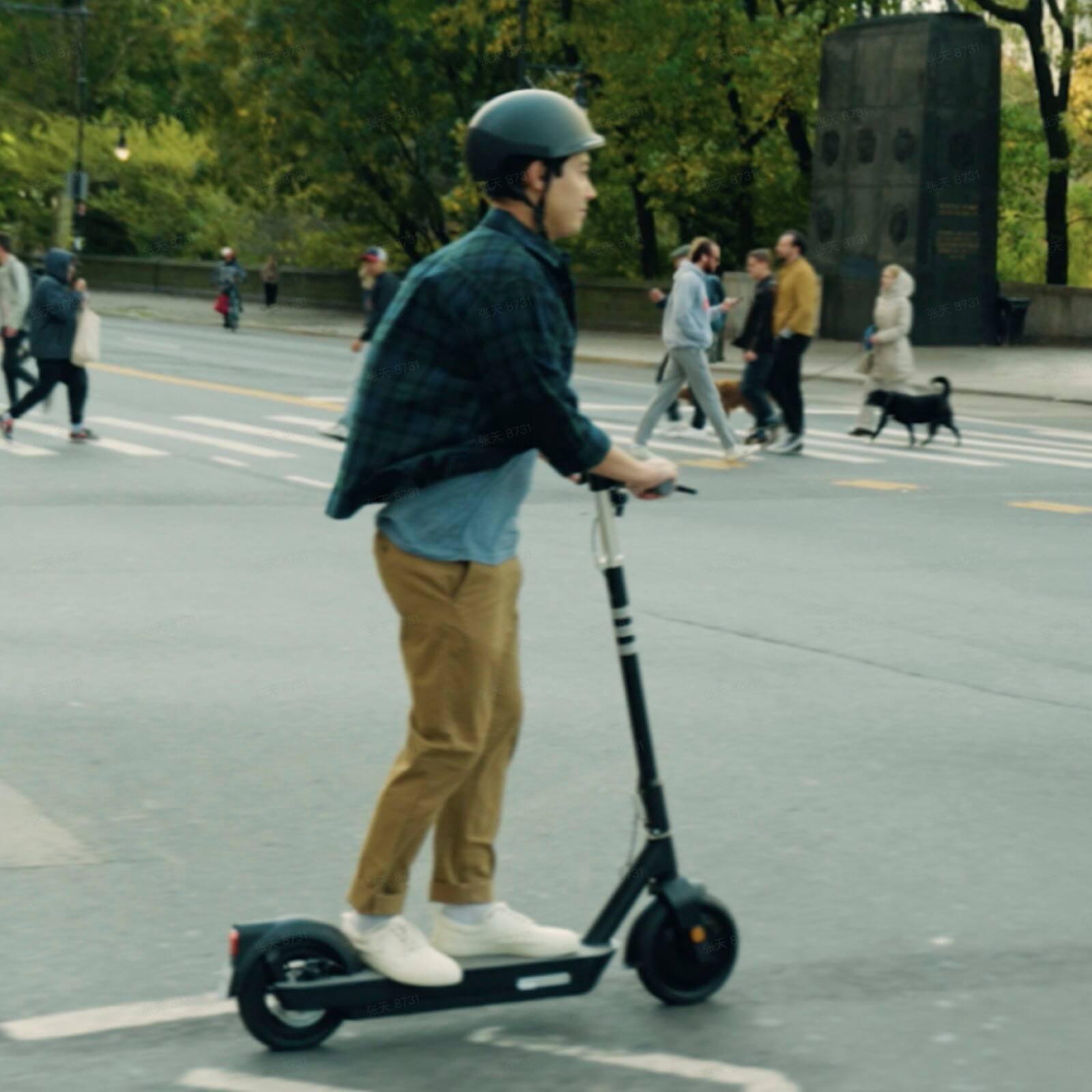 8733 6/3 B7 Oa 6731 -N 8 8731 a 8731