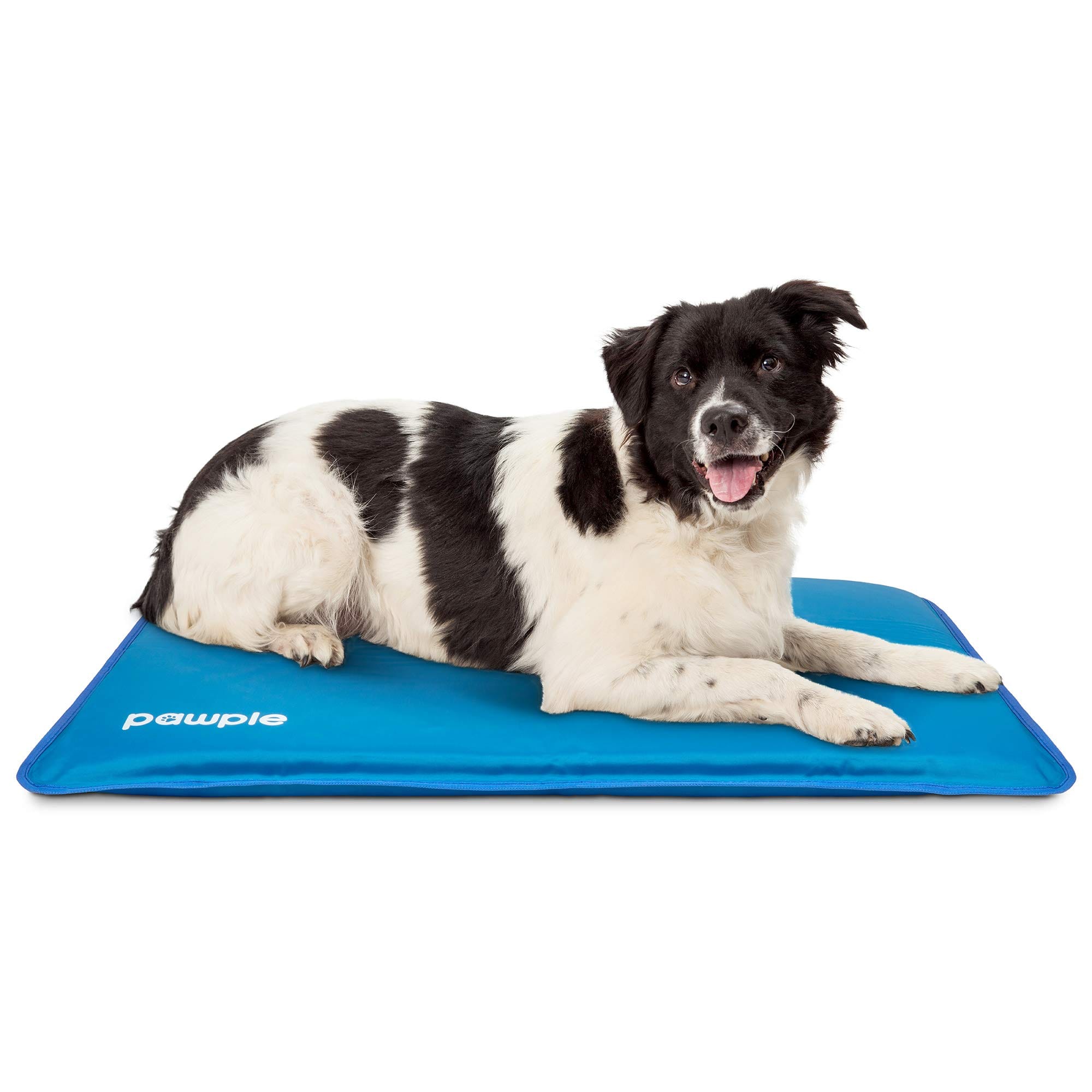 Pawple - Dog Cooling Mat, Dog Bed Mat for Kennels, Crates and Beds with Thick Foam Base 32" x 22" - Blue