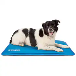 Pawple - Dog Cooling Mat, Dog Bed Mat for Kennels, Crates and Beds with Thick Foam Base 32" x 22" - Blue