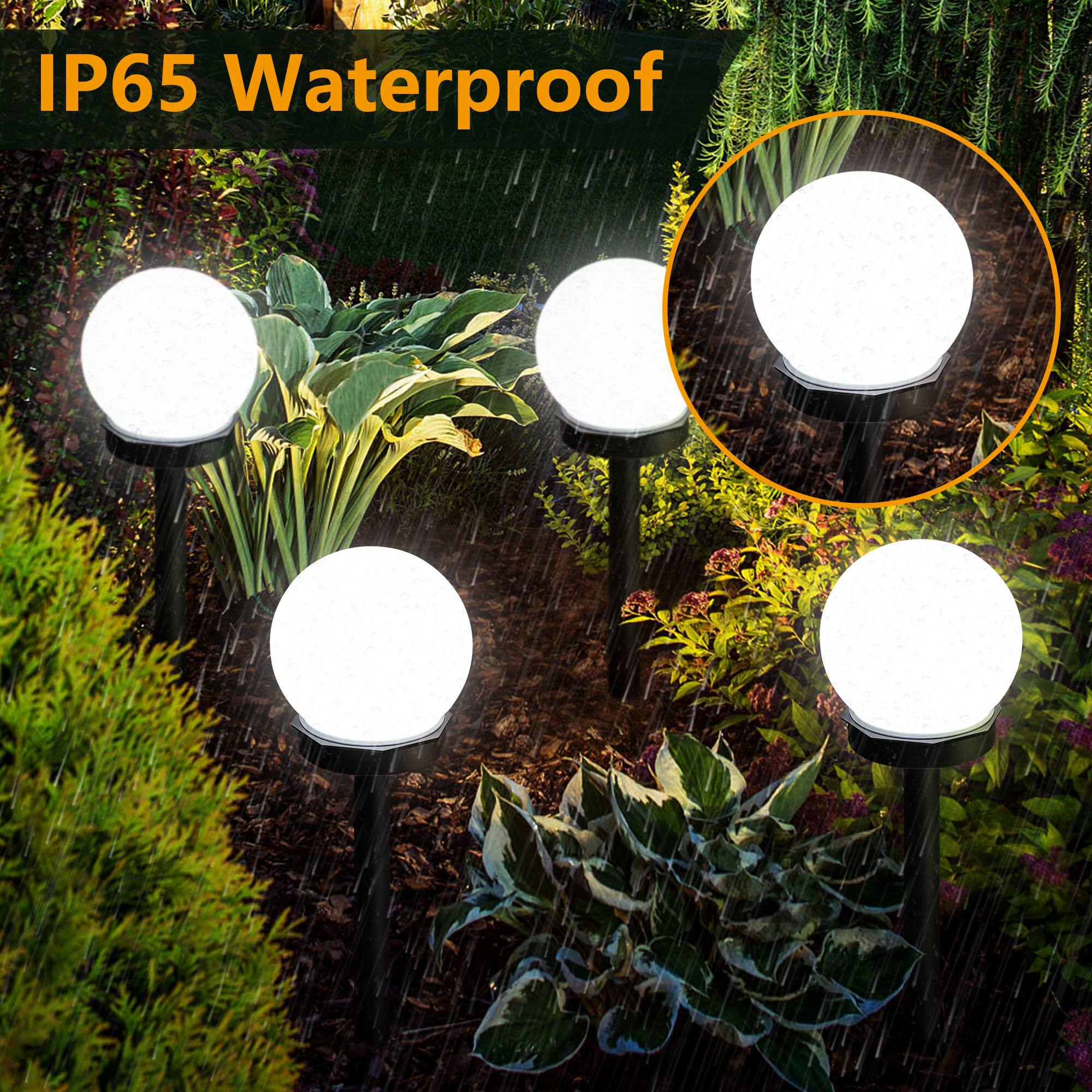 IP65 Waterproof