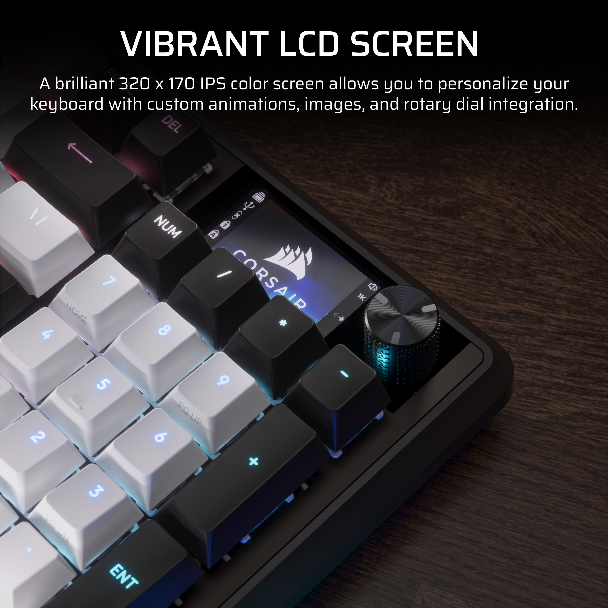 VIBRANT LCD SCREEN

A brilliant 320 x 170 IPS color screen allows you to personalize your keyboard with custom animations, images, and rotary dial integration.
