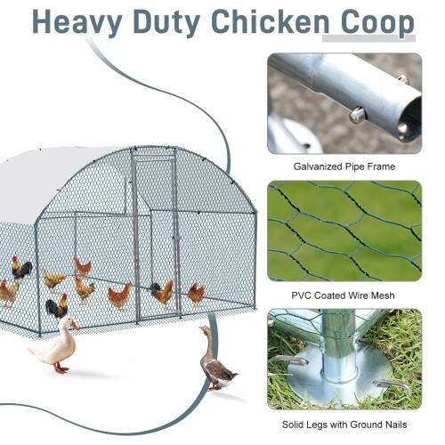 Heavy Duty Chicken Coop Galvanized Pipe Frame PVC Coated Wire Mesh Solid Legs with Ground Nails