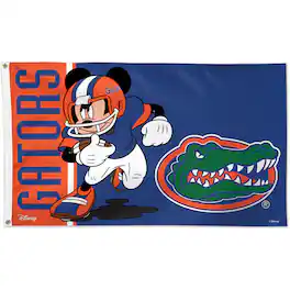 WinCraft - Florida Gators Single-Sided 3' x 5' Deluxe Disney Flag - Multicolor
