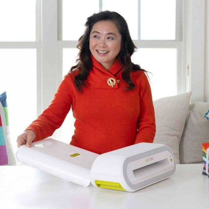 The text on the image reads:

"GO! BOUT"