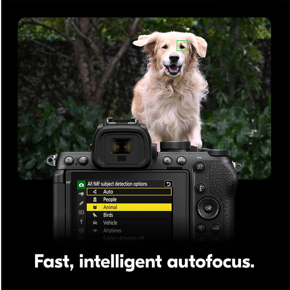 AF/MF subject detection options  
Auto  
People  
Animal  
Birds  
Vehicle  
Airplanes  
Subject detection off  

Fast, intelligent autofocus.