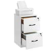 Front. Songmics Home - 2 Drawers File Cabinet with Lock, Printer Stand, Office Filing Cabinet Organizer, for A4 and Letter Size Documents - Cloud White.