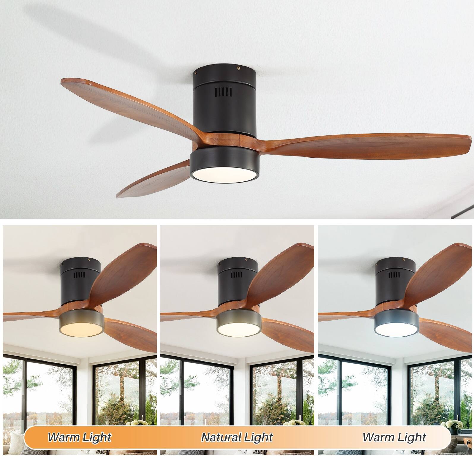 Warm Light  
Natural Light  
Warm Light