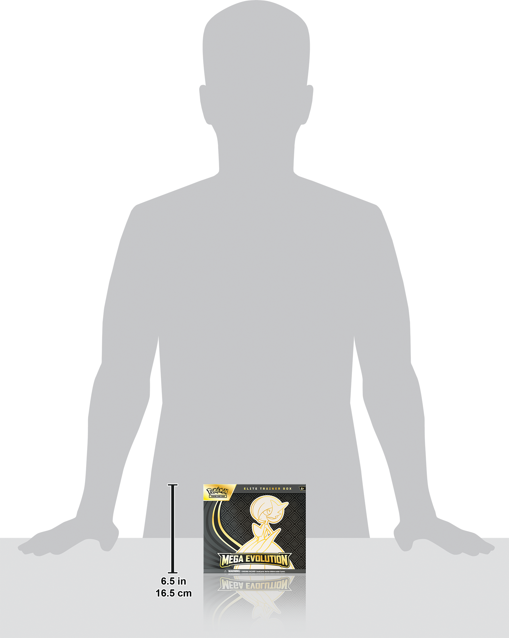 TORA .L - .... ! ...  6.5 in 16.5 cm MEGA EVOLUTION . - - : ABM