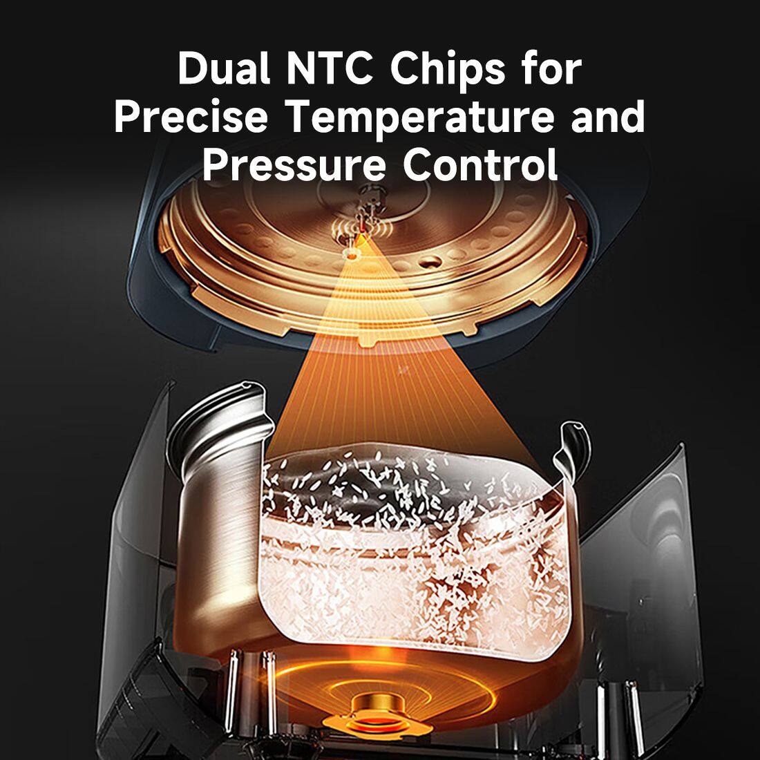 Dual NTC Chips for Precise Temperature and Pressure Control