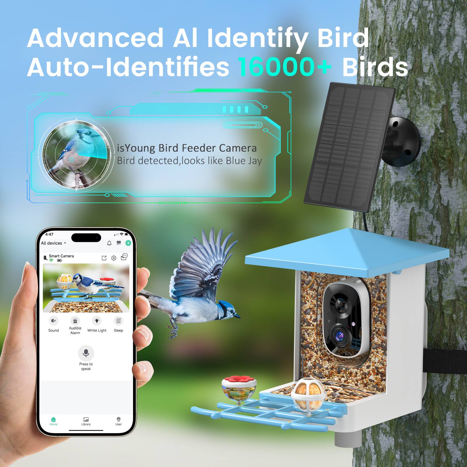 Advanced AI Identify Bird  
Auto-Identifies 16000+ Birds  

isYoung Bird Feeder Camera  
Bird detected, looks like Blue Jay  

All devices -  
Smart Camera  
Sound Alarm  
Audible Whine Light  
White Light  
Sleep  

Press to speak  

Home  
Library  
User