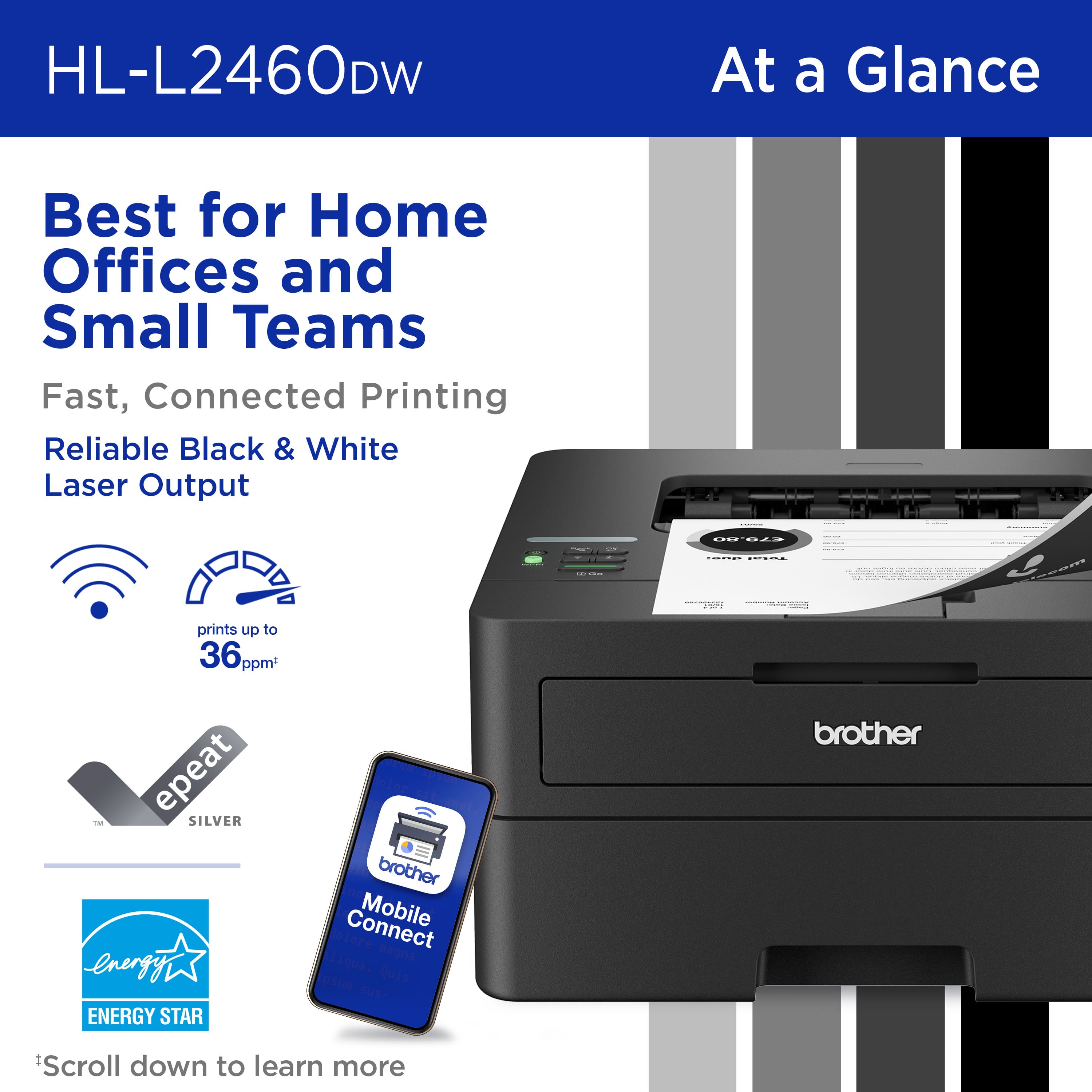HL-L2460DW At a Glance: Best for Home Offices and Small Teams. Fast, Connected Printing. Reliable Black & White Laser Output. 78.8n | | prints up to 36 ppm. epeat IM SILVER energy ENERGY STAR brother Connect Mobile re-eagna psue Quis brother. *Scroll down to learn more.