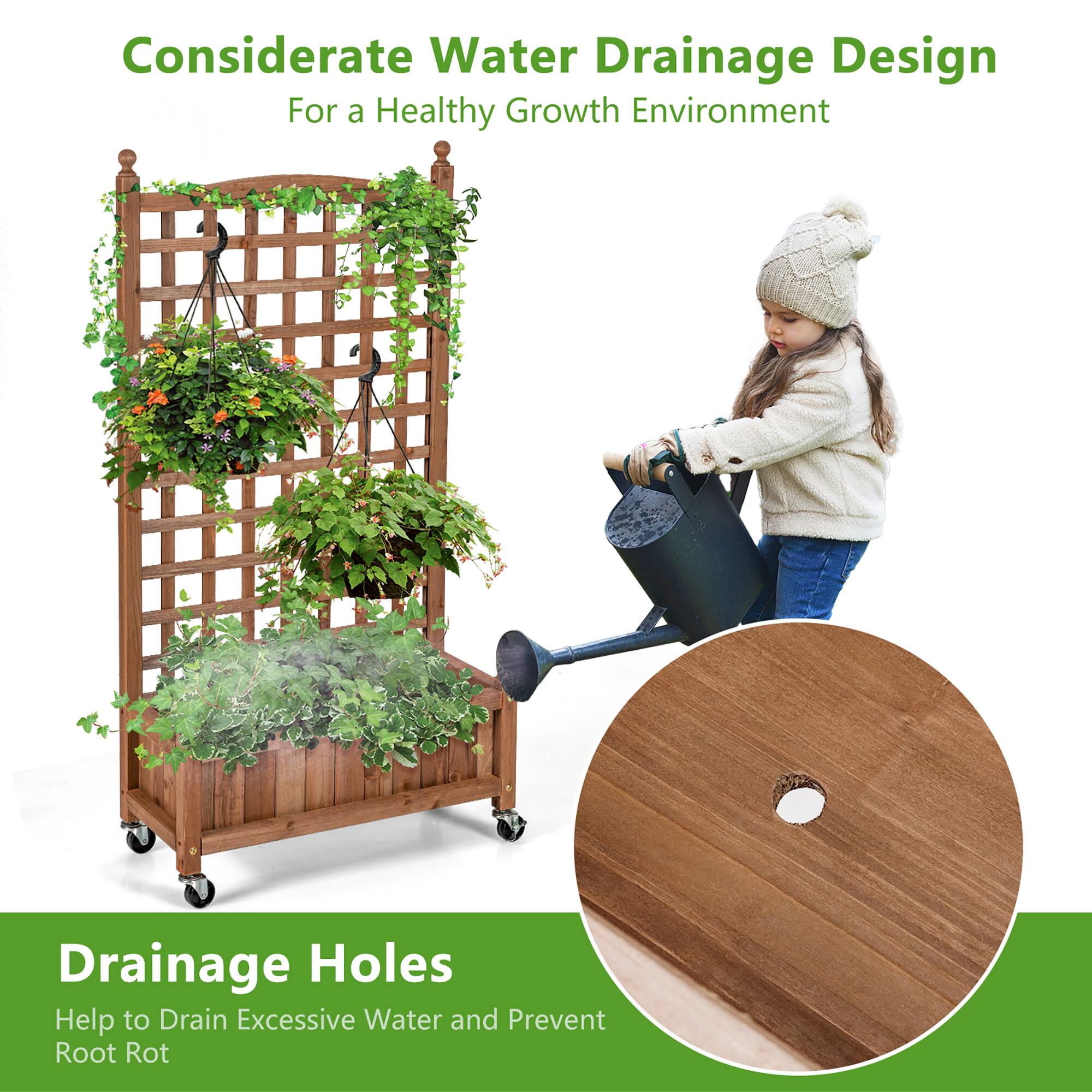 Considerate Water Drainage Design for a Healthy Growth Environment: Drainage Holes Help to Drain Excessive Water and Prevent Root Rot