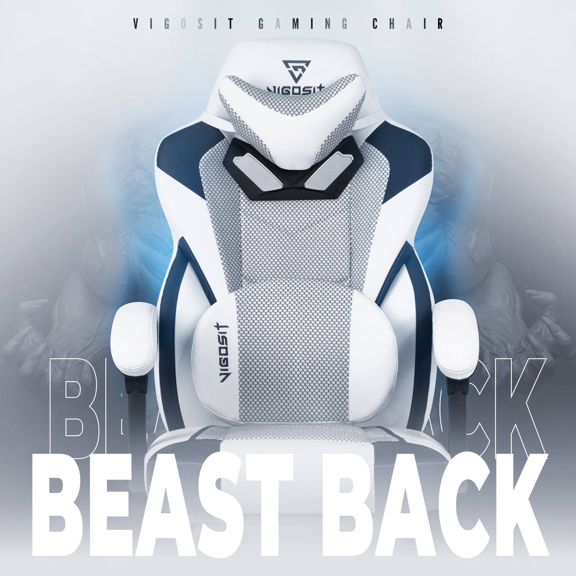 VIGOSIT GAMING CHAIR  
BEAST BACK