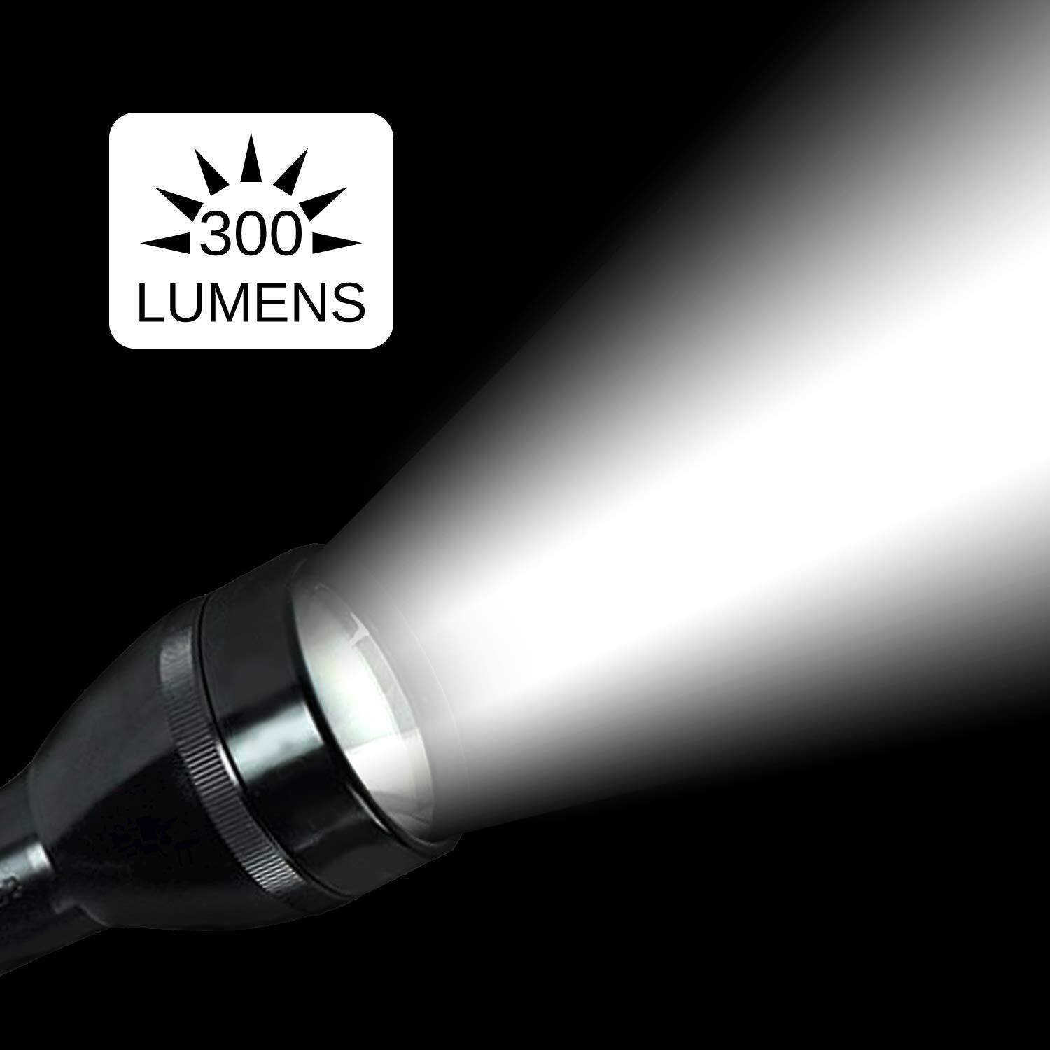 300 LUMENS