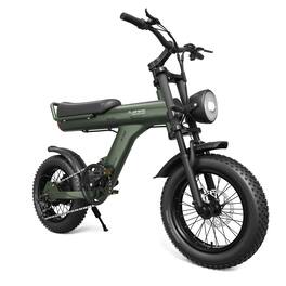 Forest'nSky - 16" Fat Tire 750W Electric Bike with IP65 Rating, 45km Range - Olive Green