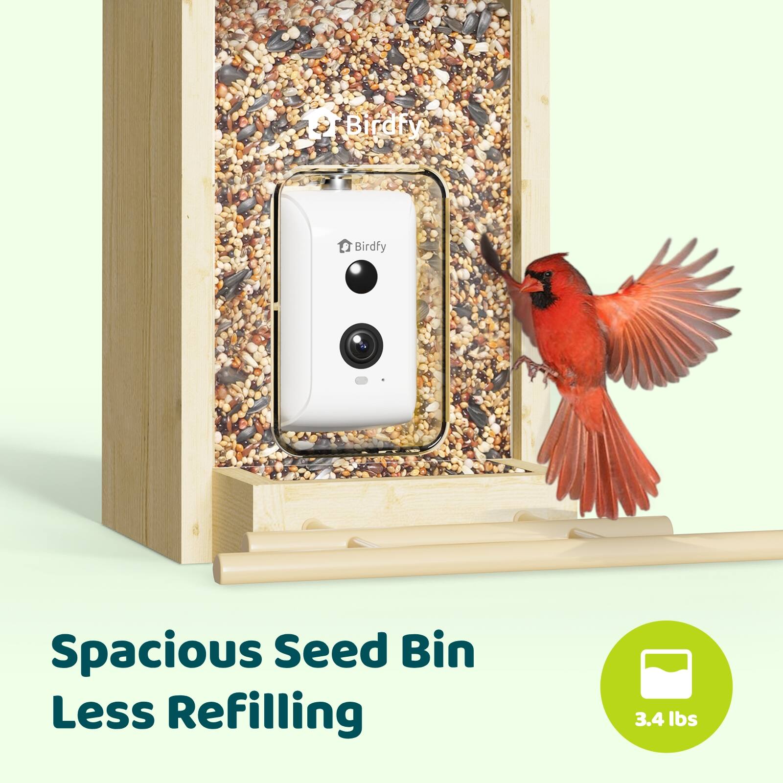 Birdfy Spacious Seed Bin Less Refilling 3.4 lbs