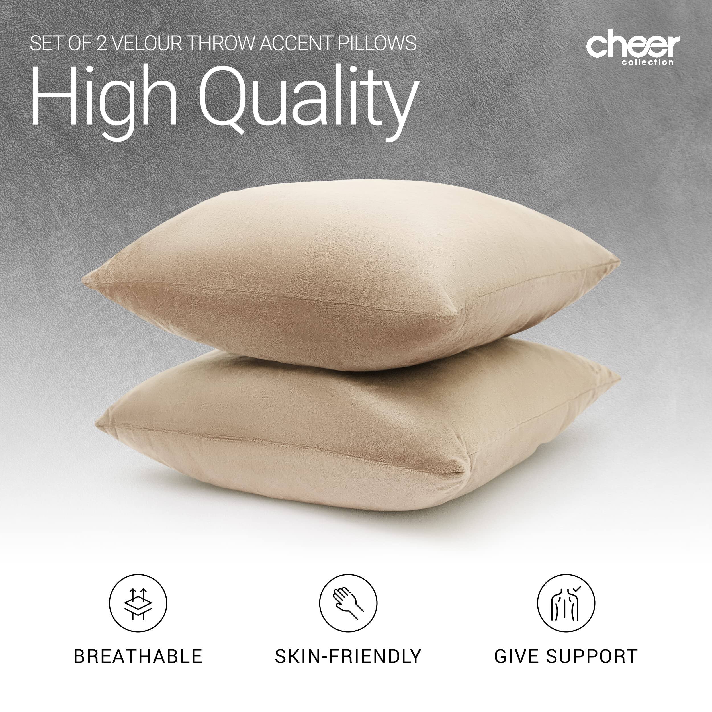 SET OF 2 VELOUR THROW ACCENT PILLOWS  
High Quality  
cheer collection  

BREATHABLE  
SKIN-FRIENDLY  
GIVE SUPPORT