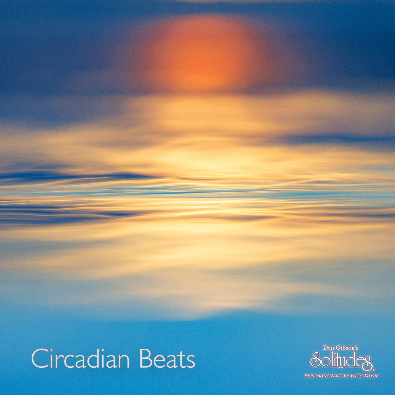 Dan Solitudes Gibson Circadian Beats VINYL LP - Best Buy