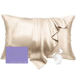 MAGICAL RUBS - Silk Pillow Cases Standard Size Mulberry Pillowcase For Hair And Skin 22 Momme Highest Grade 6a Soft Smooth With Zipp - Beige Standard