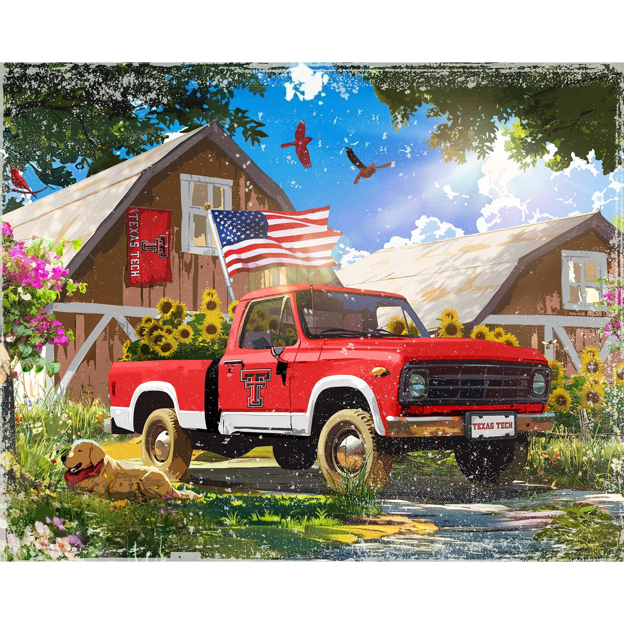 TEXAS TECH  
TEXAS TECH