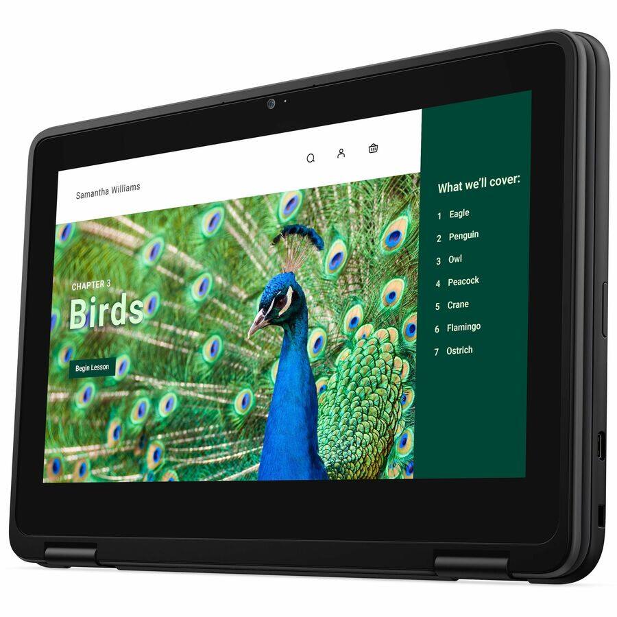 1. Samantha Williams
2. What we'll cover:
   - 1. Eagle
   - 2. Penguin
   - 3. Owl
   - 4. Peacock
   - 5. Crane
   - 6. Flamingo
   - 7. Ostrich

CHAPTER 3: Birds
Begin Lesson
