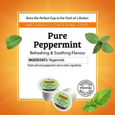 Brew the Perfect Cup at the Push of a Button

NATURALLY CAFFEINE-FREE

Pure Peppermint

Refreshing & Soothing Flavour

INGREDIENTS: Peppermint

*Made with only peppermint and no other ingredients

SOURCED WITH CARE

TWININGS Pure Peppermint