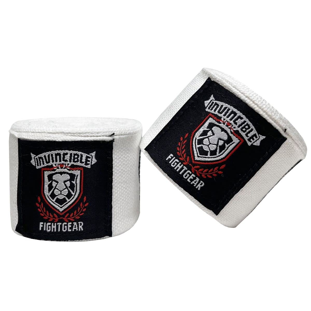 INVINCIBLE FIGHTGEAR