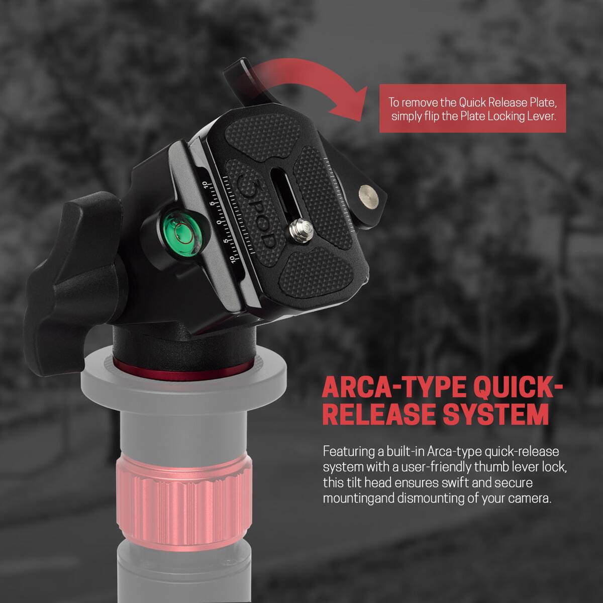 o' 1 5- 6 S- 1p SPOD

To remove the Quick Release Plate, simply flip the Plate Locking Lever.

ARCA-TYPE QUICK- RELEASE SYSTEM

Featuring a built-in Arca-type quick-release system with a user-friendly thumb lever lock, this tilt head ensures swift and secure mounting and dismounting of your camera.