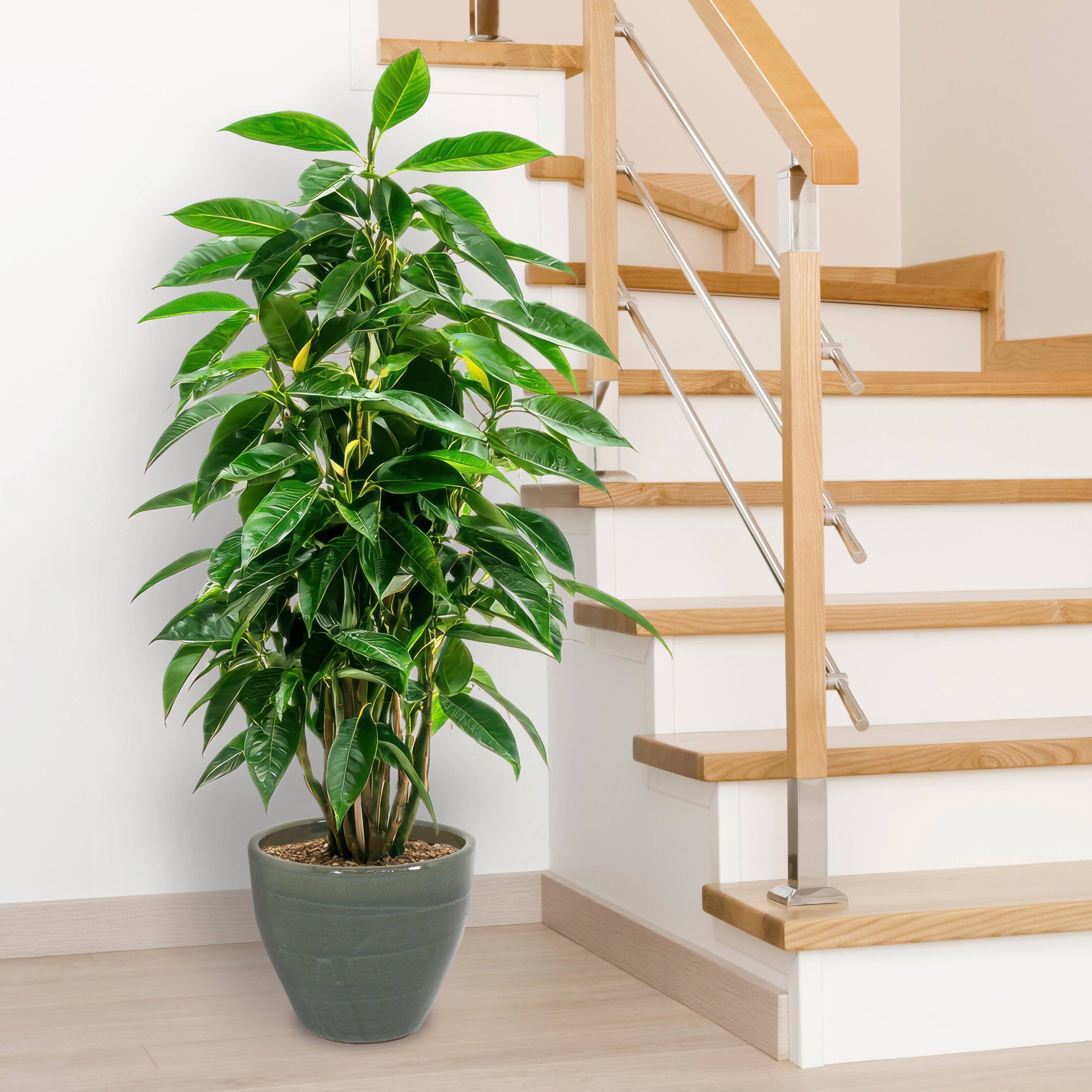 Alt View 8. Sunnydaze - 13.5 in Resort High-Fired Glazed Ceramic Planter - Gray.