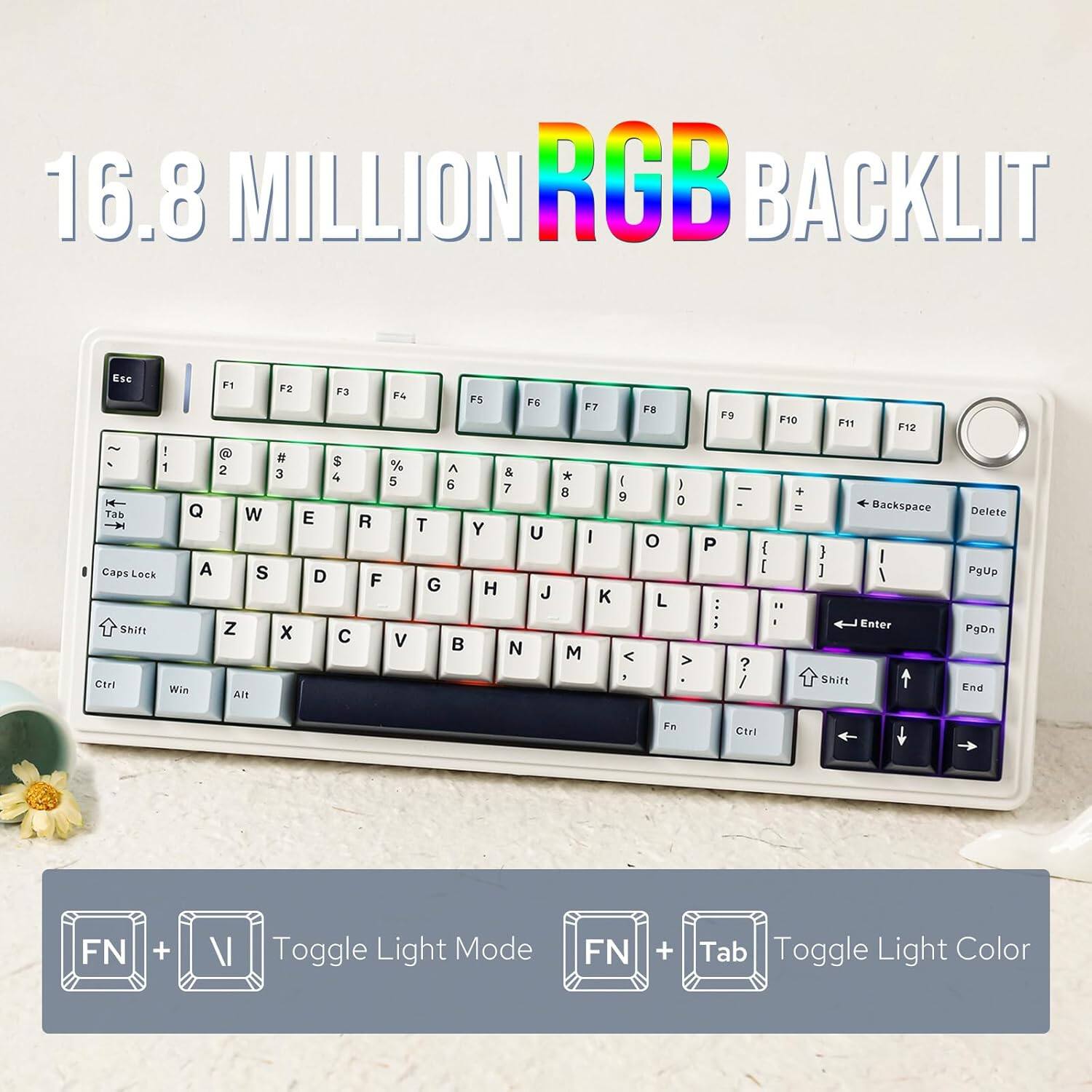 16.8 MILLION RGB BACKLIT

Esc F1 F2 F3 F4 F5 F6 F7 F8 F9 F10 F11 F12

1 ! 2 @ 3 # 4 $ 5 % 6 ^ 7 & 8 * 9 ( 0 )

Q W E R T Y U I O P

A S D F G H J K L

Z X C V B N M

Shift Caps Lock Shift

Ctrl Win Alt Fn

Ctrl FN + V Toggle Light Mode

FN + Tab Toggle Light Color