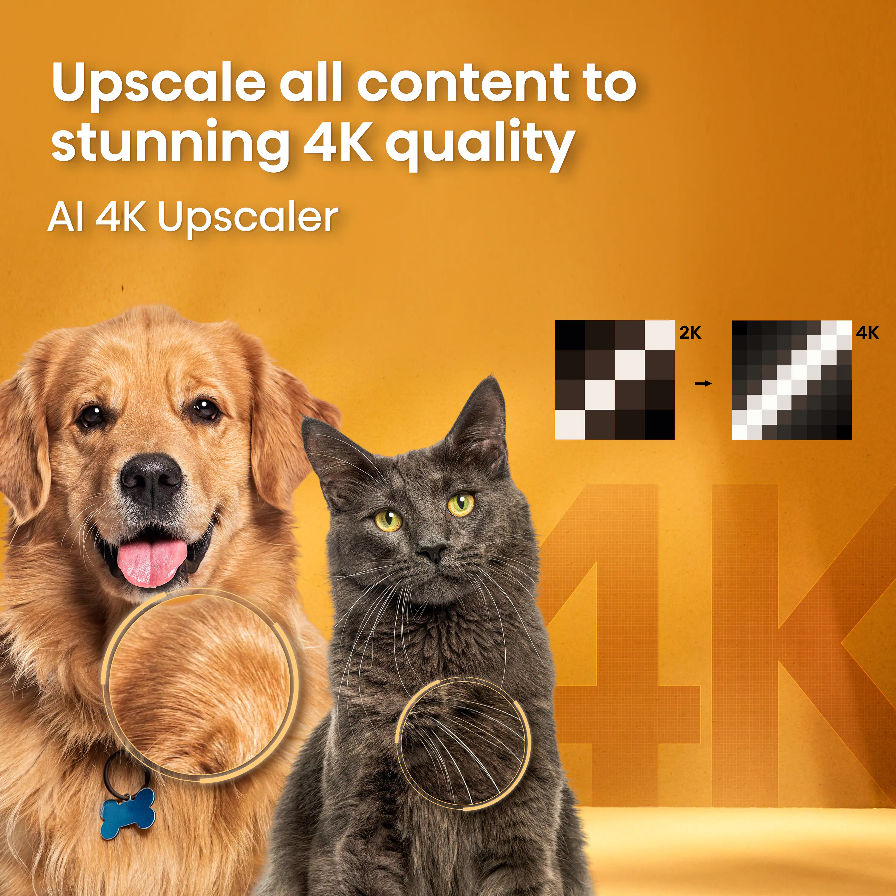 Upscale all content to stunning 4K quality  
AI 4K Upscaler  

2K → 4K