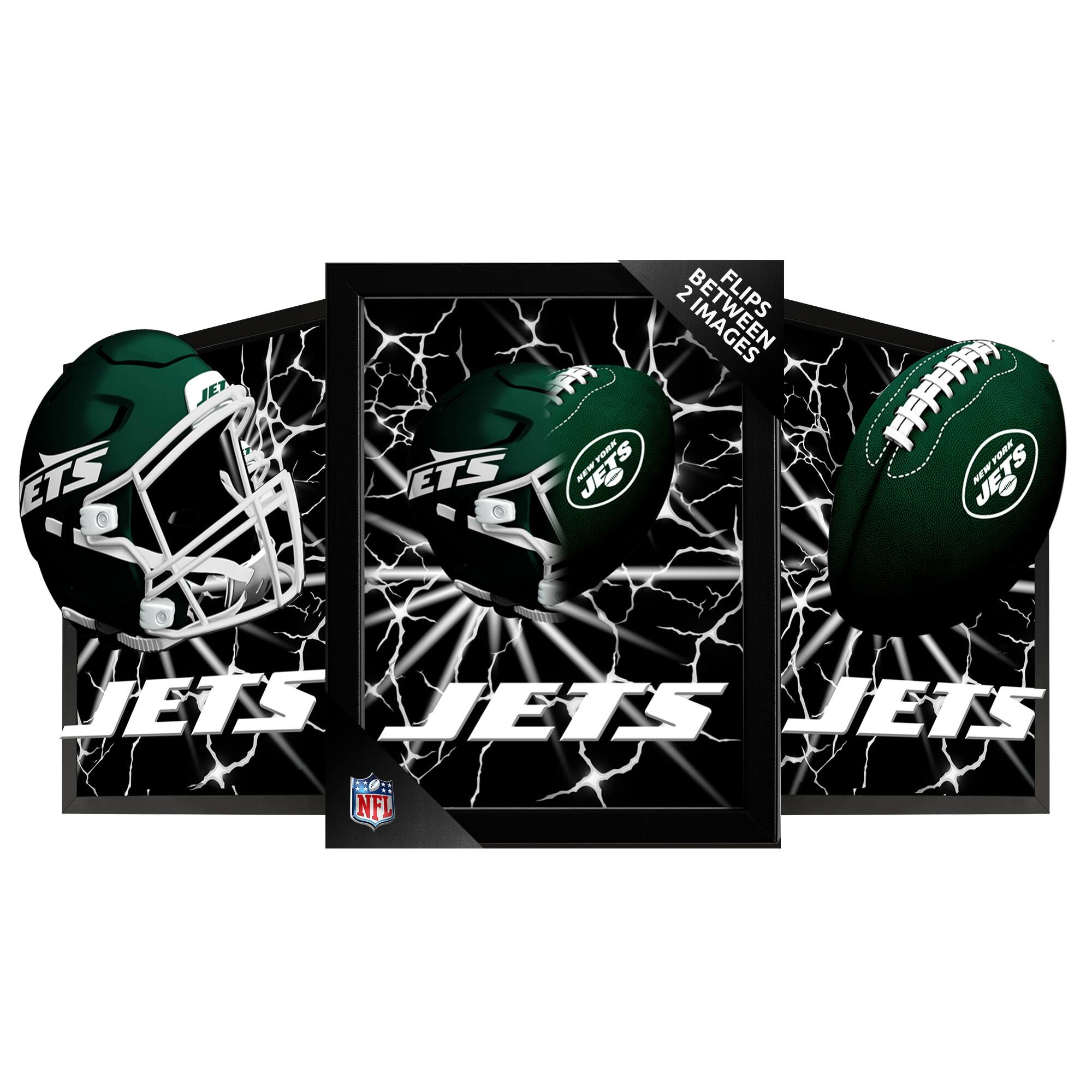 14" x 18" Framed 3D Lenticular Art