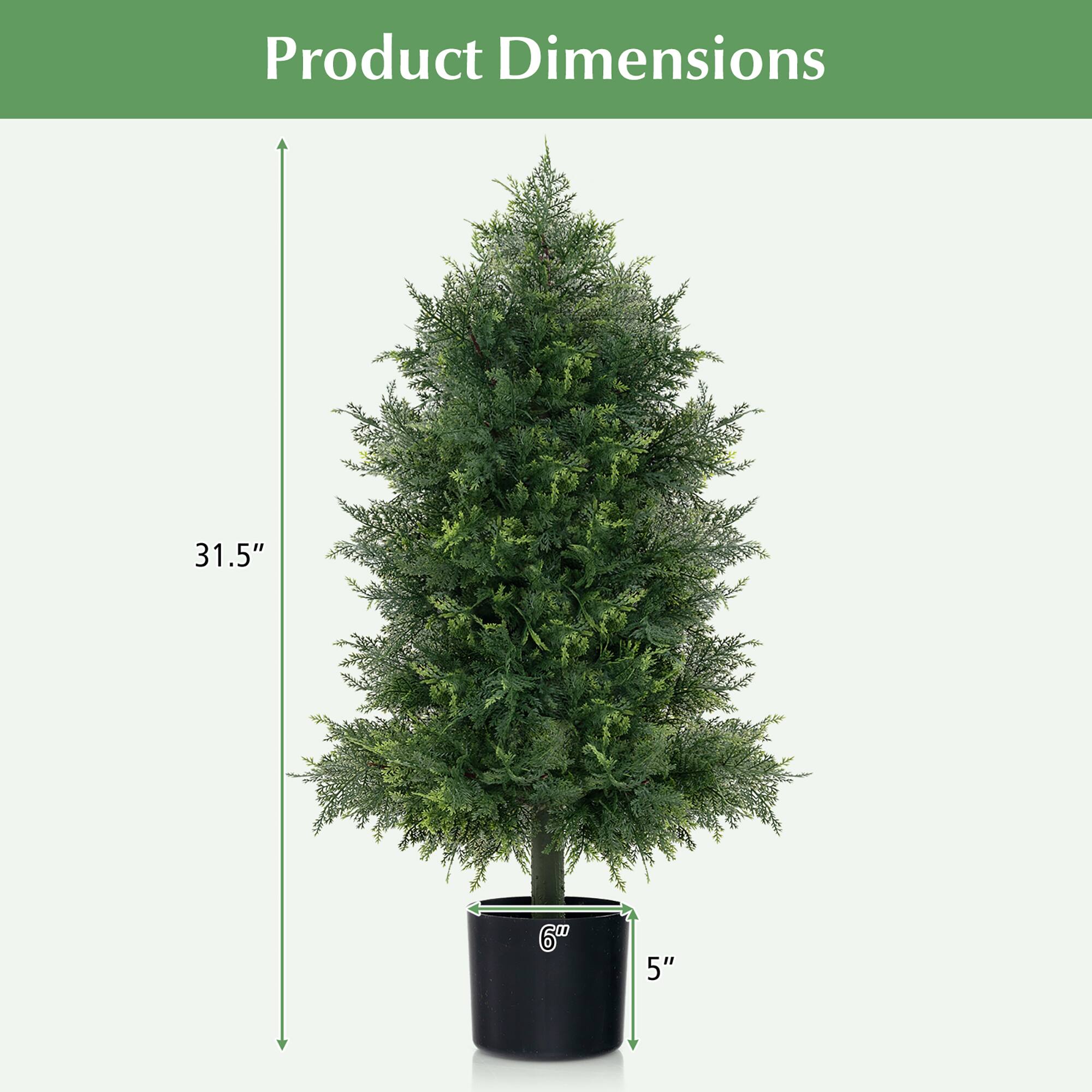 Product Dimensions

31.5"  
6"  
5"