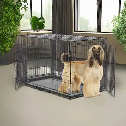 Front. Pefilos - 48" Dog Crates for Large Dogs Folding Mental Wire Pet Cage Outdoor and Indoor Dog Kennels.