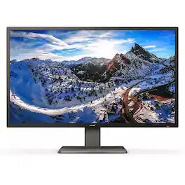 Philips - 439P1 42.5" VA LCD 4K UHD Monitor with MultiView - Black