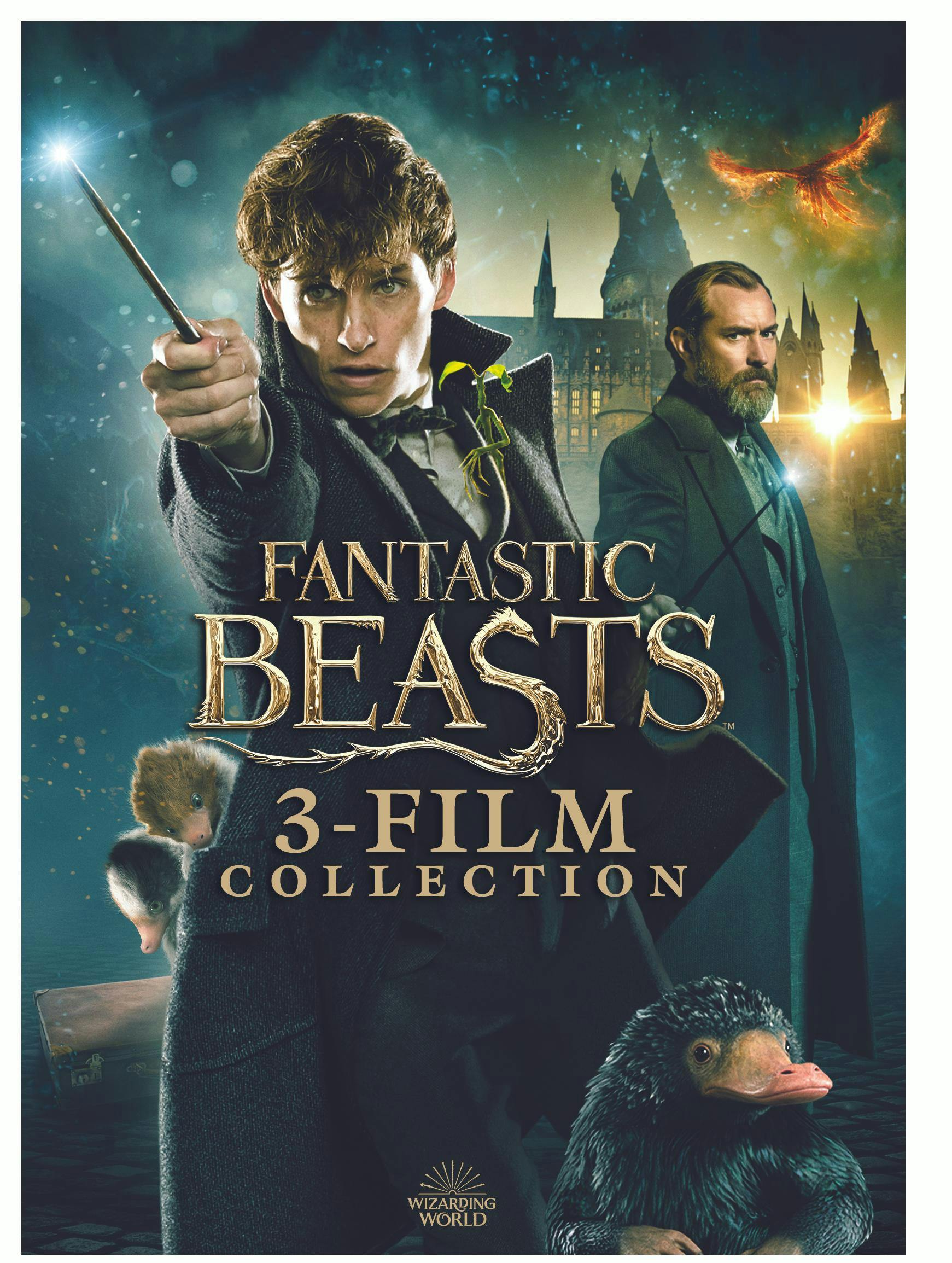 Fantastic Beasts: 3-film Collection (Box Set) [DVD]