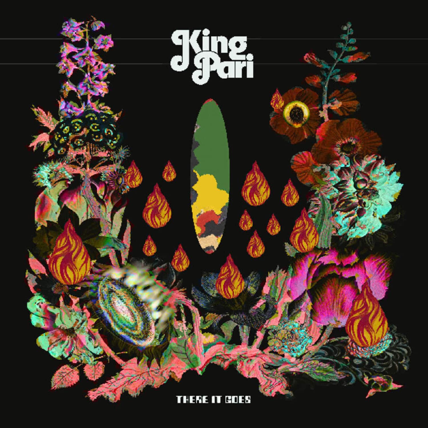King Pari - There It Goes   - VINYL LP price history on PriceWatchPro