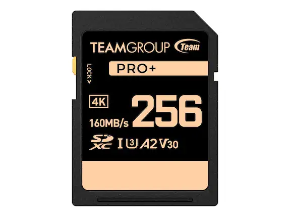 TEAMGROUP
Team
PRO+
256GB
160MB/s
4K
LOCK
SDXC
I
U3
A2
V30