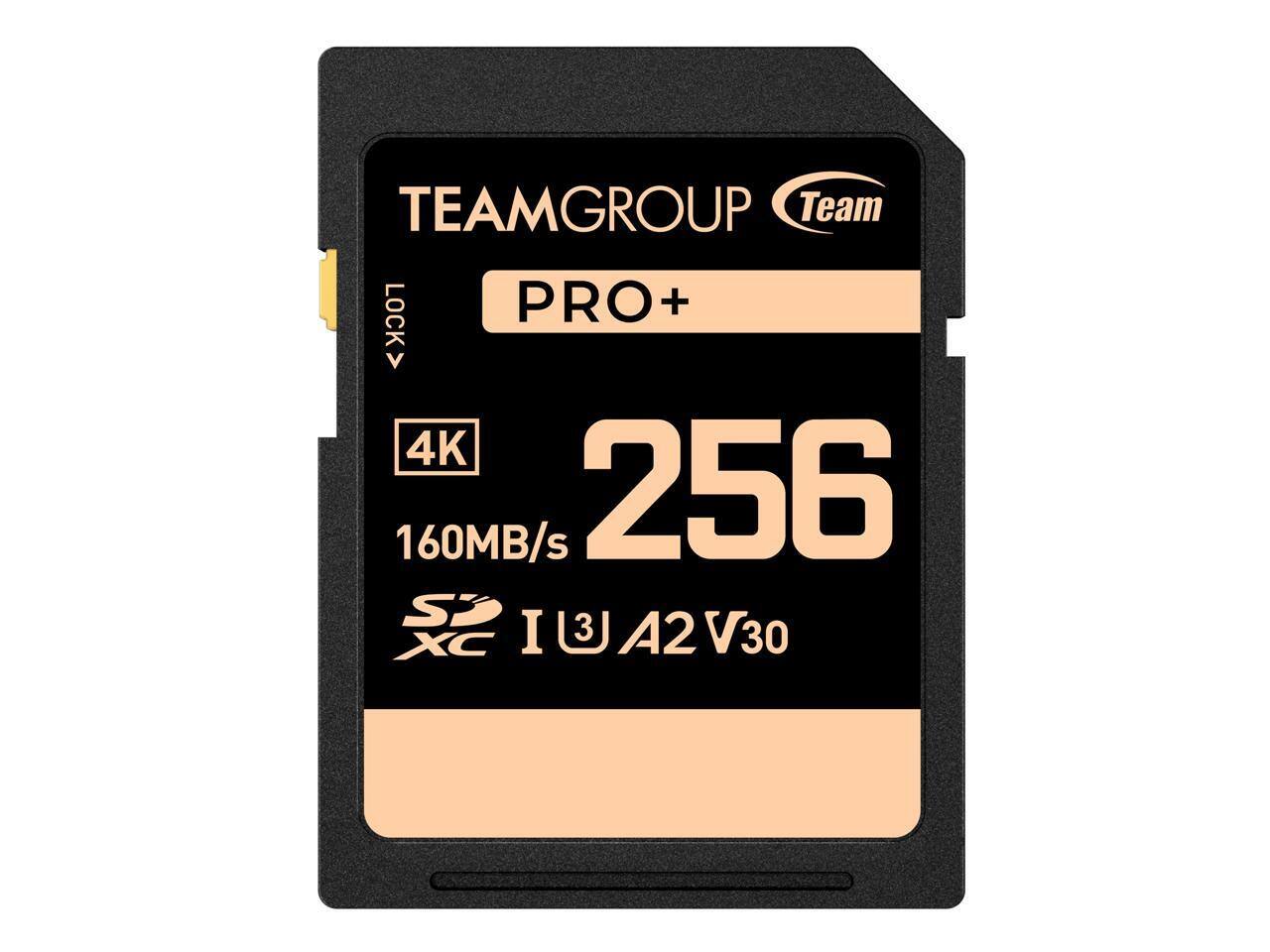 TEAMGROUP  
Team  
PRO+  

256GB  
160MB/s  

4K  
LOCK  

SDXC  
I  
U3  
A2  
V30