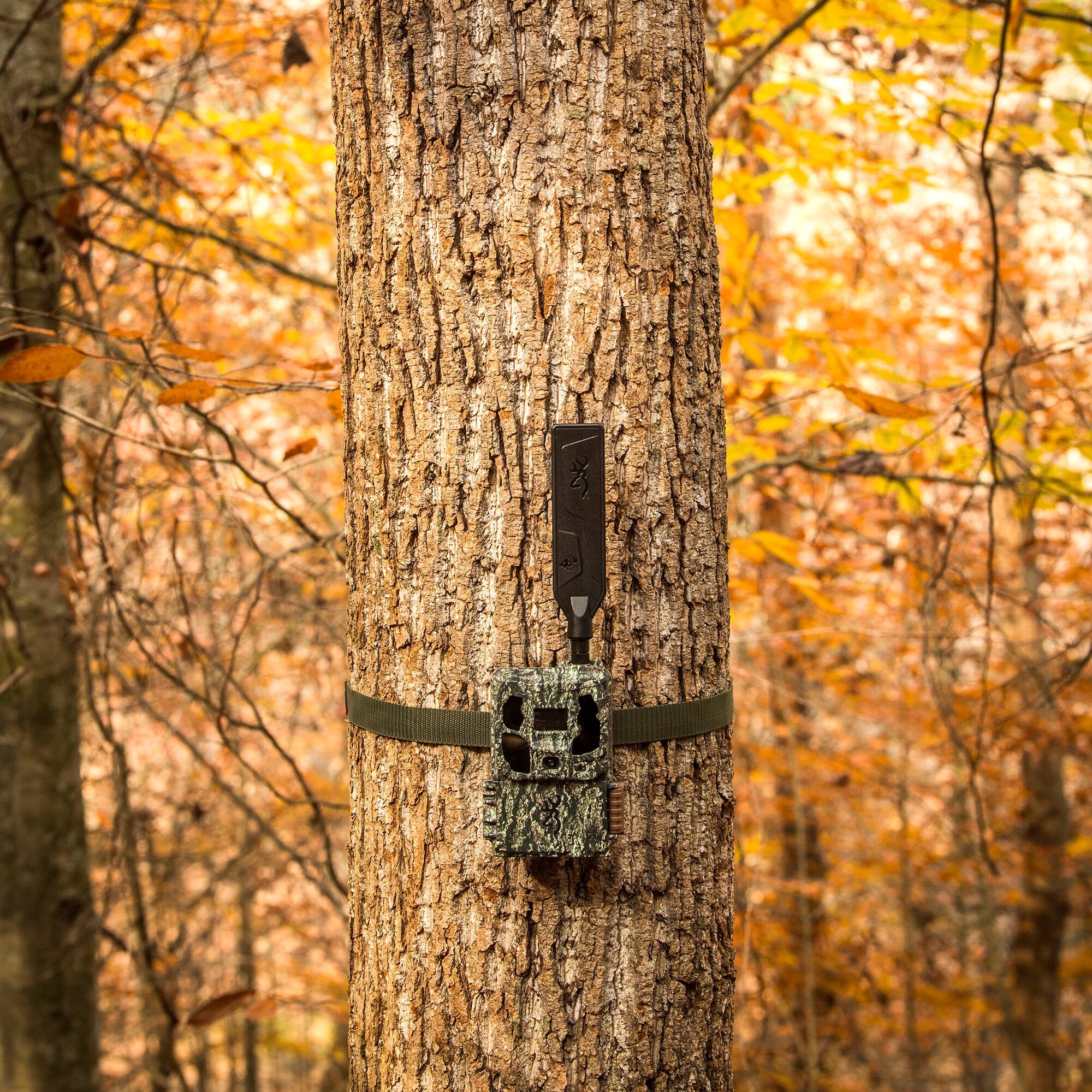 Back. Browning - Browning Trail Camera Defender Wireless Pro Scout Max HD AI 46MP Bundle.