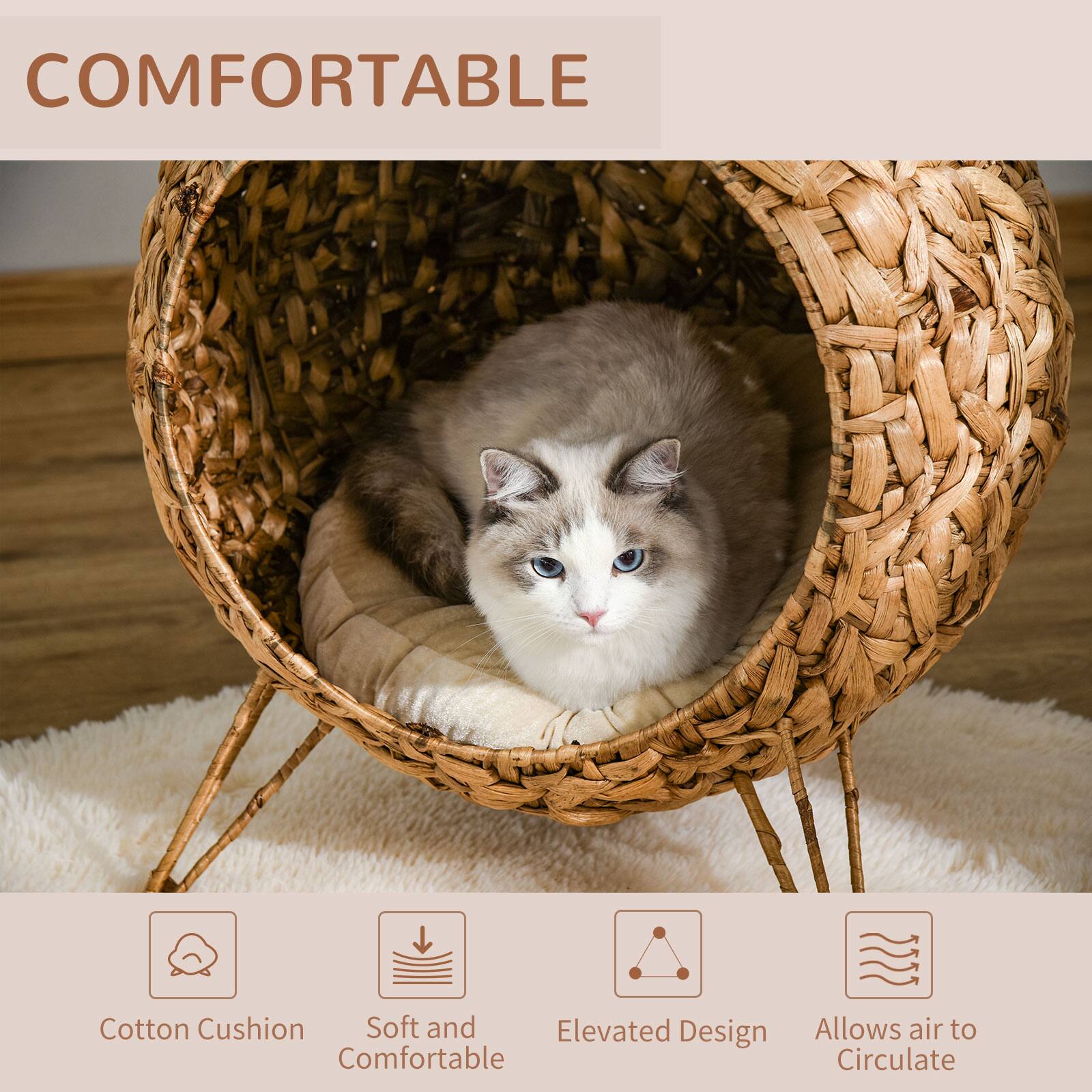 COMFORTABLE

Cotton Cushion
Soft and Comfortable
Elevated Design
Allows air to Circulate