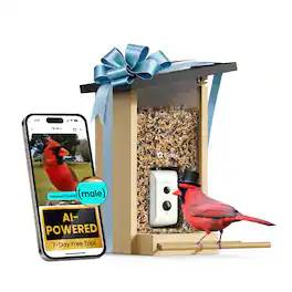 BIRDFY - Smart Bird Feeder with Camera and Solar Panel, AI Bird ID(7-Day Free Trial), 1080P HD Live View, Gift for Bird Lovers - Natural Wood Finish & Black