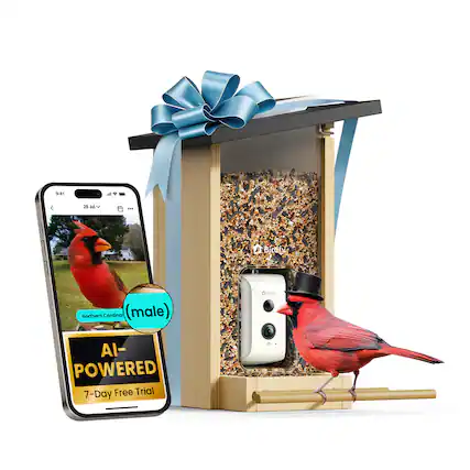 9:41 28 Jul ... Bicdfy Northern Cardinal (male) Bicdfy AI-POWERED 7-Day Free Trial
