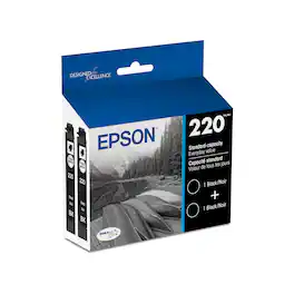 Epson - 220 2-Pack Standard Capacity - Ink Cartridges - Black