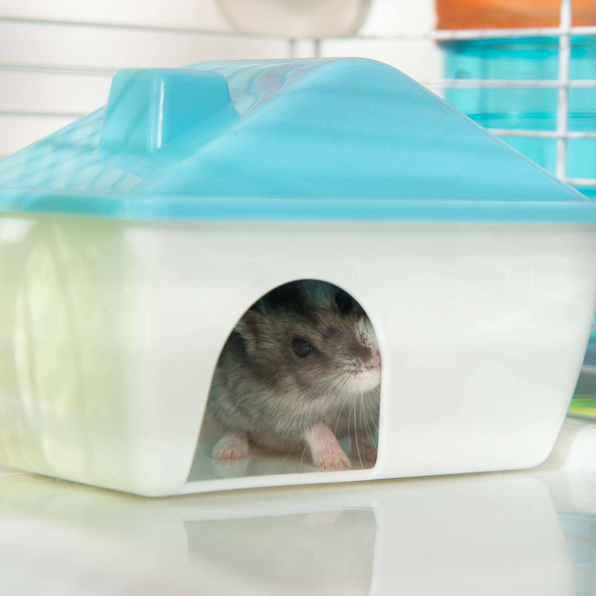 Alt View 5. Pawhut - 31" Extra Large 4-Tier Hamster Cage with Tunnels, Exercise Wheel, Water Bottle, Food Dish & Portable Carry Handles.