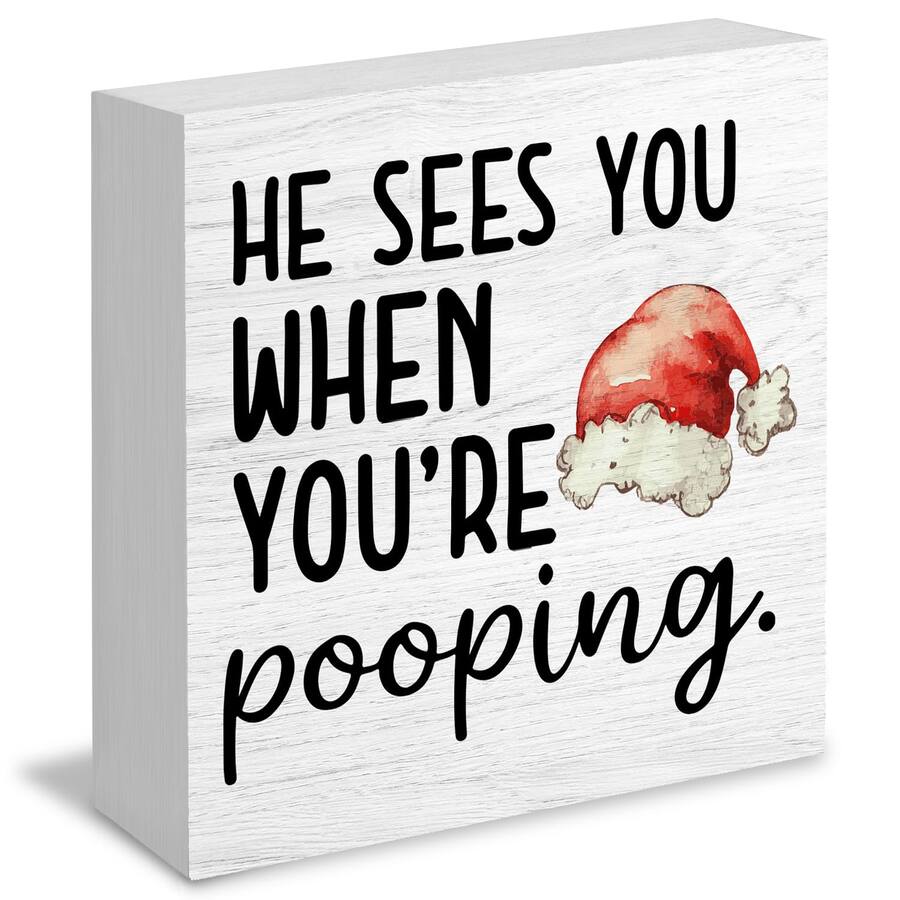 Paradigms Interiors Funny Christmas Bathroom Wooden Box Signs ...
